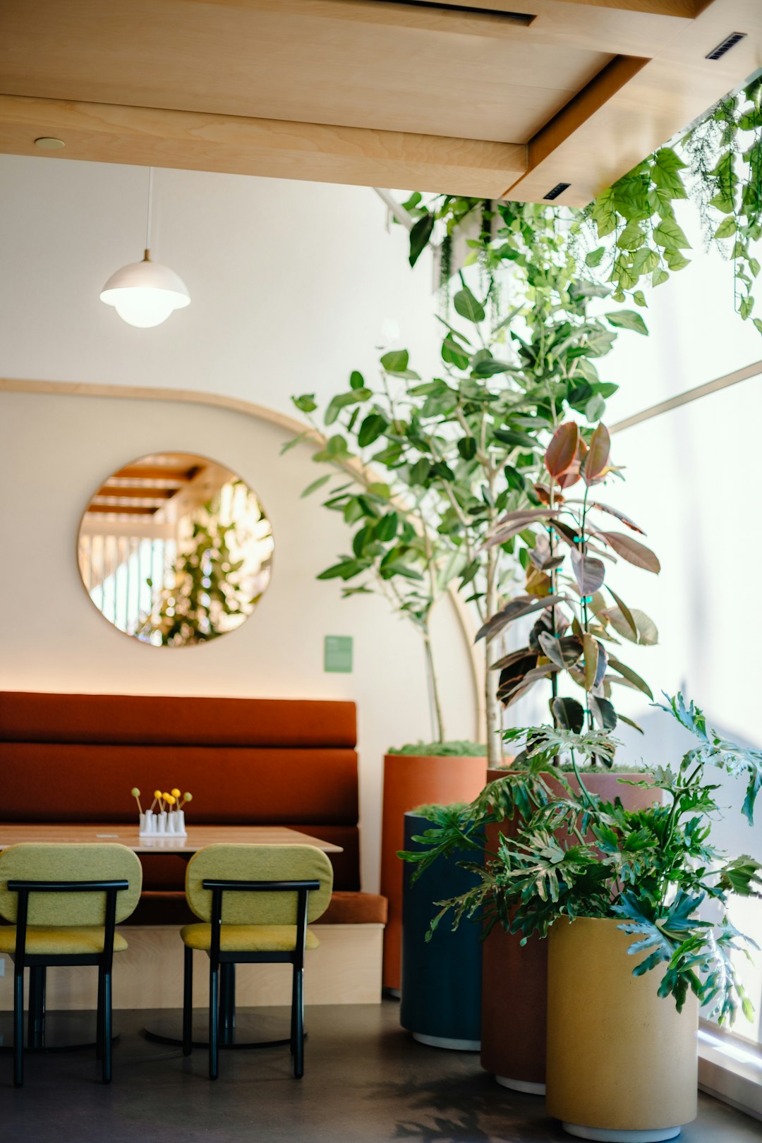 Biophilic Office Interior