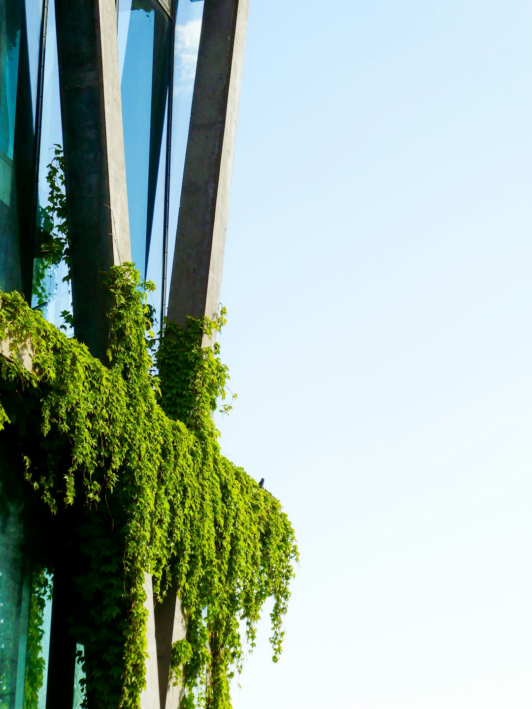 Sustainable Architecture Services
