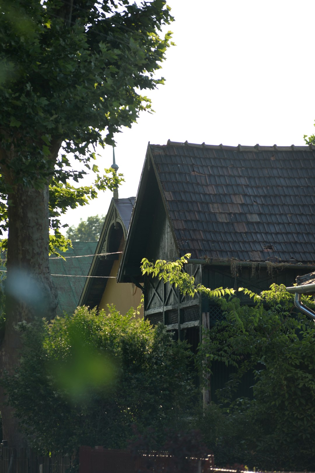 Green Valley Villa