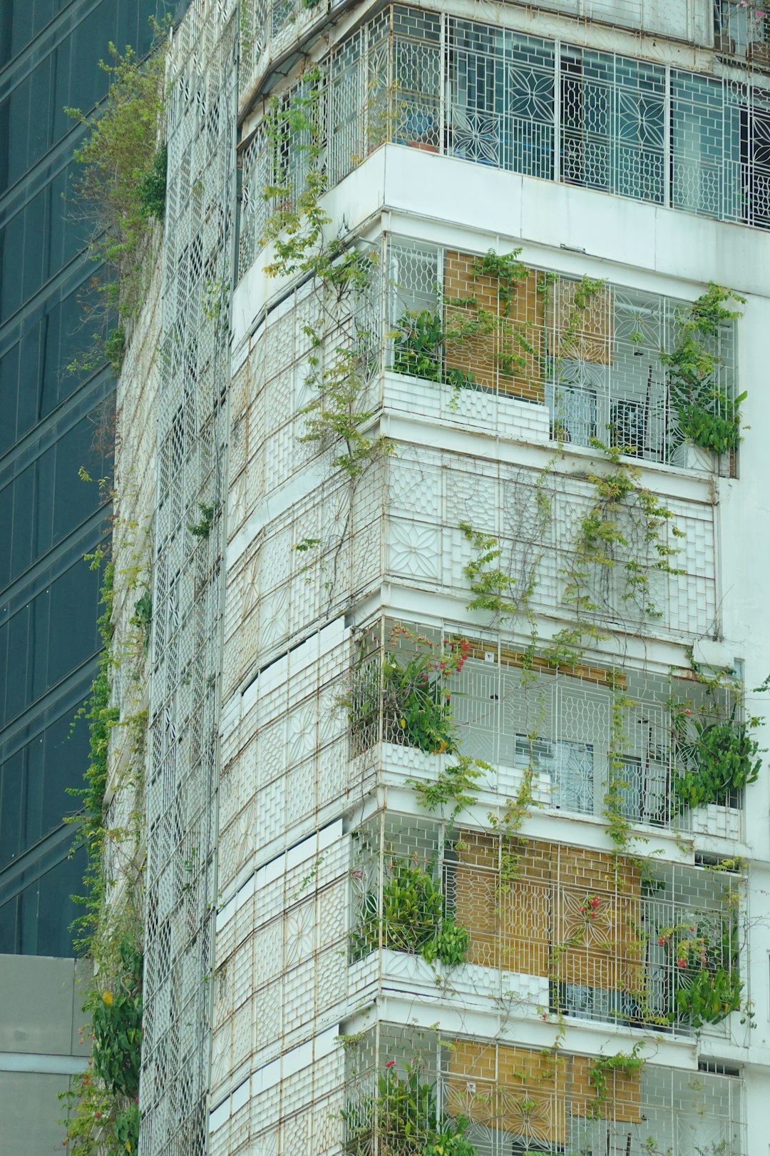 Renewable Energy Mall